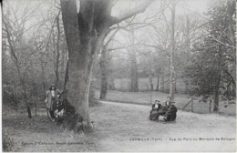 CARMAUX (Tarn) :  Vue Du Parc  Au Marquis De  Solages Et Sa -famille- Promenade (1911) - Cadalen