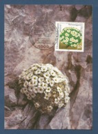 BRD 1991 Mi.Nr.1505 , Schweizer Mannschild -Natur- Und Umweltschutz-Maximum Card - Erstausgabetag Berlin 12.03.1991 - 1981-2000