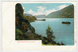 BRIENZERSEE   BEI  ISELTWALD             2 SCAN   (NUOVA) - Iseltwald