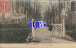 CPSM 9X14  De METTRAY (37) - COLONIE - La GRANDE AVENUE   N° 2 - édit I.P.M - Mettray