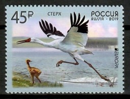 Russia 2019 Rusia / Birds Europa CEPT MNH Vögel Aves Oiseaux / Cu13721  29-18 - Unclassified