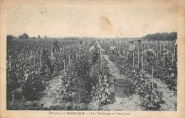 Belleville Sur Saône    69   Environs De.....  Les Vendanges En Beaujolais.  (voir Scan) - Belleville Sur Saone