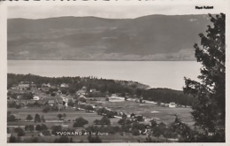 19. / 10 / 451  - YVONAND  ( VD )  ET  LE  JURA  - PANORAMA  - C P S M - Yvonand