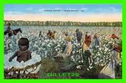 BLACK AMERICANA - PICKING COTTON, DOWN SOUTH - E. C. KROPP -= - Black Americana