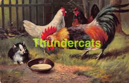 CPA ILLUSTRATEUR ARTIST SIGNED AUGUST MULLER  POULET CHICKEN CHAT CAT ROOSTER COQ - Mueller, August - Munich