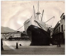 Photo Quais De Port Vendres (66) - Bateau De La Compagnie De Navigation Mixte. - Sin Clasificación