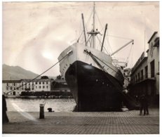 Photo Quais De Port Vendres (66) - Bateau De La Compagnie De Navigation Mixte. - Zonder Classificatie