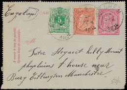 PWS N° 57 En 45, Als Bijfrankering - 1893-1900 Barbas Cortas