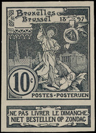 Type N° 71/72, 2 Proefdrukken - 1894-1896 Exhibitions