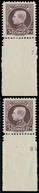 ** N° 217 '5 Fr Violet' (2x), Met - 1921-1925 Montenez Pequeño