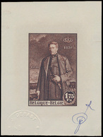 Type N° 304, Proef Vd Beëindig - Unused Stamps