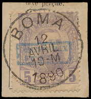 CP 4 '5 Fr Violet' Op Fragment - 1884-1894