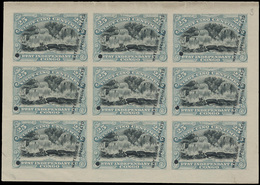 (*) Type N° 21 Publicitaire Proef - Used Stamps