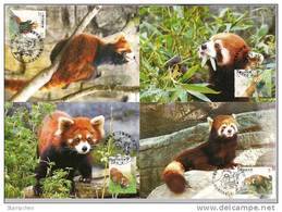 Maxi Cards Taiwan 2007 Cute Animal - Lesser Panda Stamps Fauna  Bamboo Bear - Maximumkaarten