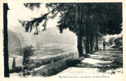 N°77846 -cpa Rothau -le Chemin De Wildersbach- - Rothau