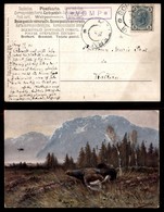 Antichi Stati Italiani - Territori Italiani D'Austria - Vomp (P.ti 6) - Cartolina Per Kaltern Del 27.10.06 - Other & Unclassified