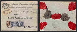 Regno - Imperiale (245) + Floreale (202 Tre) - Assicurata Da Soveria A Rogliano Del 16.5.30 - Other & Unclassified