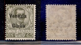 Occupazioni I Guerra Mondiale - Venezia Giulia - 1918 - 45 Cent (26) - Gomma Integra (150) - Sonstige & Ohne Zuordnung