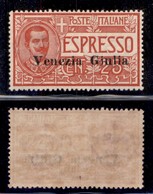 Occupazioni I Guerra Mondiale - Venezia Giulia - Espressi - 1919 - 25 Cent (1) - Gomma Originale Con Invisibile Traccia  - Sonstige & Ohne Zuordnung