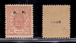 LUSSEMBURGO - 1884 - 12 1/2 Cent S.P. (31 II) - Gomma Originale - Andere & Zonder Classificatie