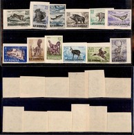 ROMANIA - 1956 - Animali Cacciabili (1614/1625) - Serie Completa - Non Dentellati - Gomma Integra (90) - Other & Unclassified