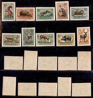 UNGHERIA - 1953 - Fauna (1285/1294) - Serie Completa - Non Dentellati - Gomma Integra - Autres & Non Classés