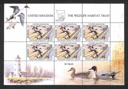 UNITED KINGDOM - 1991 - Minifoglio “The Wildlife Habitat Trust” Euroducks - Gomma Integra - Sonstige & Ohne Zuordnung