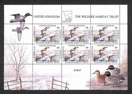 UNITED KINGDOM - 1992/93 - Minifoglio “The Wildlife Habitat Trust” Green Winged Teal - Gomma Integra - Altri & Non Classificati