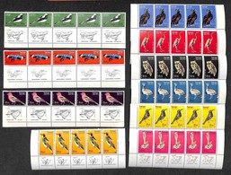 ISRAELE - 1963 - Uccelli (270/279) - Serie Completa In Striscie Orizzontali Di 5 Bordo Inferiore Di Foglio - Gomma Integ - Sonstige & Ohne Zuordnung