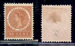 SURINAME - 1907 - 30 Cent (60) - Gomma Originale - Other & Unclassified