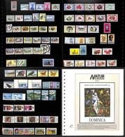 DOMINICA - 1951/1995 - Collezione Di Valori Serie Complete Foglietti E Minifogli Del Periodo In 8 Pagine Di Raccoglitore - Sonstige & Ohne Zuordnung