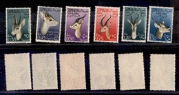 Occupazioni Straniere Delle Colonie - Somalia A.F.I.S. - Posta Aerea - 1955 - Animali (26/31) - Serie Completa - Gomma I - Other & Unclassified