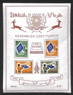 Occupazioni Straniere Delle Colonie - Somalia A.F.I.S. - Posta Ordinaria - 1959 - Foglietto Assemblea Costituente (2) -  - Other & Unclassified