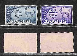 Occupazioni Straniere Delle Colonie - Somalia A.F.I.S. - Espressi - 1950 - Espressi (1/2) - Serie Completa - Gomma Origi - Other & Unclassified