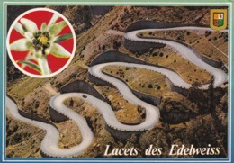 65 Vallée D'Aure, Route De Saint Lary-Cap-de-Long, Lacets Des Edelweiss - Vielle Aure