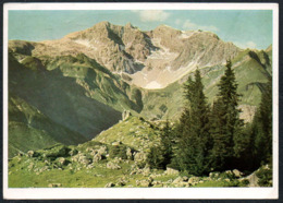 C9189 - Braunarlspitze Im Bregenzer Wald - VEB Volkskunstverlag Reichenbach - Bregenzerwaldorte