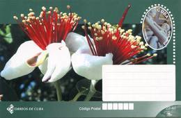 Lote TP32-4b,  Cuba, 2011, Entero Postal, Postal Stationary, Flor, Flower - Maximum Cards