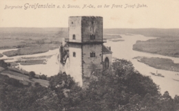 AK - NÖ- Greifenstein A.d. Donau - Mit Alte Donauschlingen - 1917 - Tulln