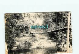 CONGO - BRAZZAVILLE - CARTE PHOTO - Pont De Liane Sur Le Djoué - Brazzaville