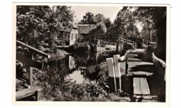 GIETHOORN, Netherlands, Water Lillies Hotel-Cafe, Old Real Photo Postcard - Giethoorn