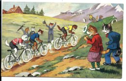 CHATS Habillés Humanisés - Course Cycliste (M.D. N°2006 - En 1936) - Animaux Habillés