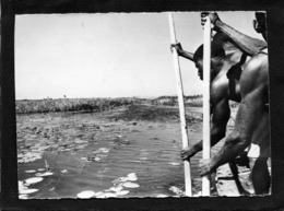 Zambezi  Ville De La Province Du Nord-ouest De La Zambie,Rameurs Sur Le Canal Située Sur Le Fleuve Zambèze 1961 - Zambie