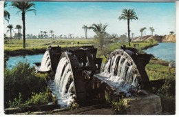 Fayoum Waterwhell , Egypt - Fayyum