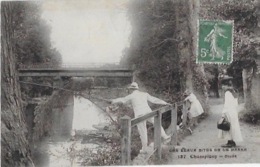 CPA De CHAMPIGNY  -  Les Beaux Sites De La Marne - Champigny - Etude - Champigny