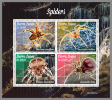 SIERRA LEONE 2019 MNH Spiders Spinnen Araignees M/S - IMPERFORATED - DH1942 - Ragni