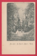 Ronse / Renaix -Bois Joly - La Chute Du Bassin - 1903 ( Verso Zien ) - Renaix - Ronse