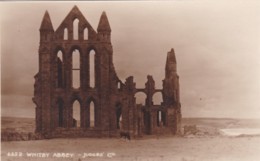 WHITBY ABBEY. JUDGES. - Whitby