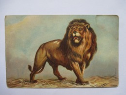 LION     .....          TTB - Leeuwen