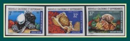 Nouvelle Calédonie Non Dentelé N° PA 150 à 152 ** Complet TB Coquillage Shell Mollusques - Imperforates, Proofs & Errors