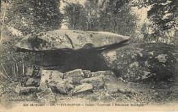 DOLMENS & MENHIRS - SAINT BRISSON - Dolmen Chevresse - Dolmen & Menhirs